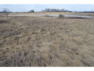 Property photo 46 - 127 Acres Offered in 8 Tracts - Allen & Dekalb County Land